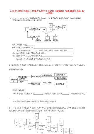 初中中考化学(酸碱盐)推断题强化训练(无答案) 新人教版 试题