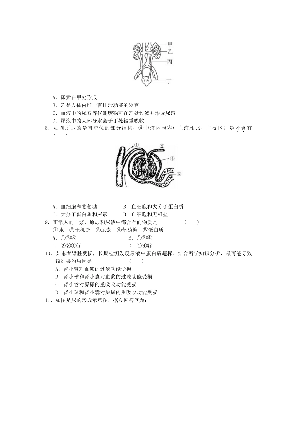 中考生物一轮复习 第四单元 第五章 人体内废物的排出 新人教版试卷_第2页