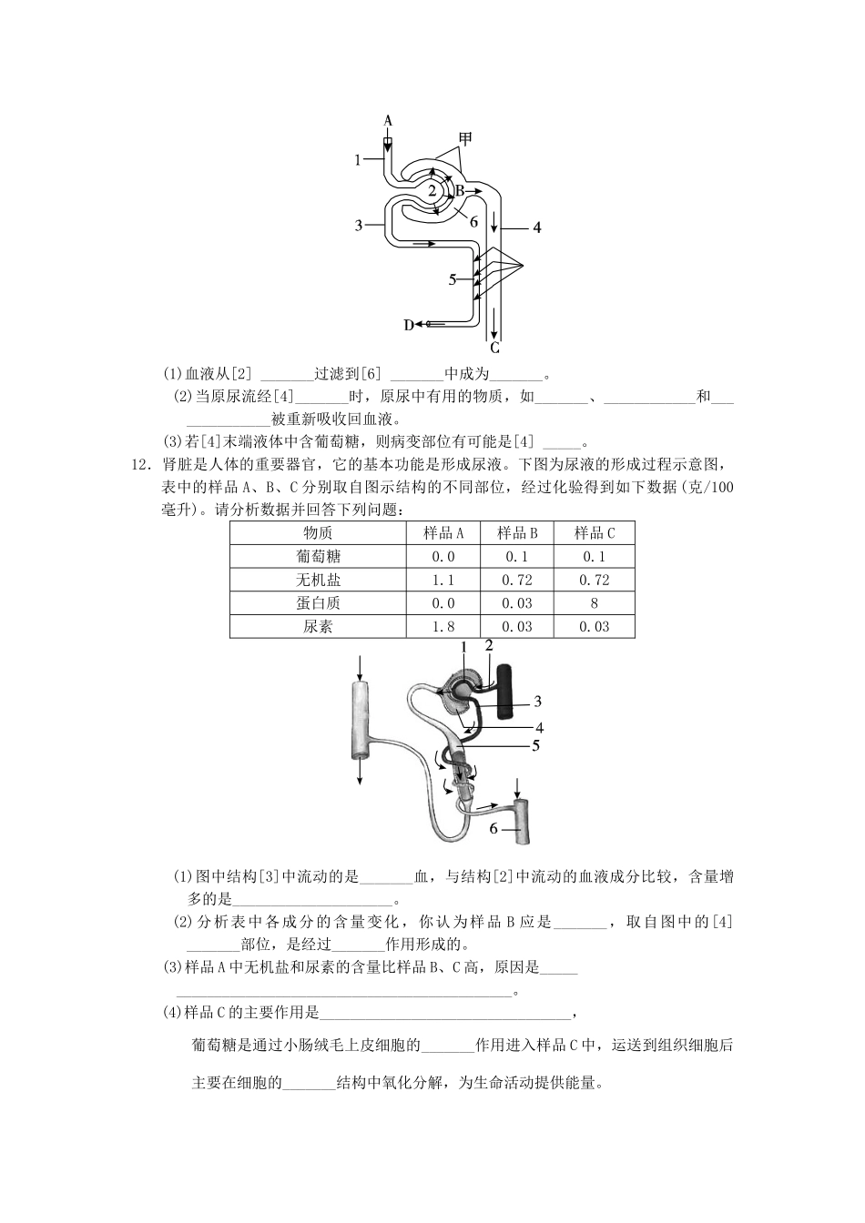 中考生物一轮复习 第四单元 第五章 人体内废物的排出 新人教版试卷_第3页