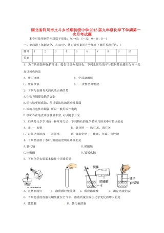 九年级化学下学期第一次月考试卷试卷