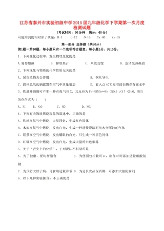 九年级化学下学期第一次月度检测试卷