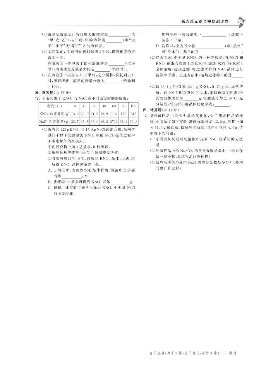 九年级化学下册 第九单元 溶液提综合提优测评卷(pdf版) (新版)新人教版试卷_第3页