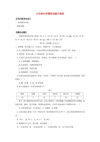 九年级化学模拟试卷天津版试卷