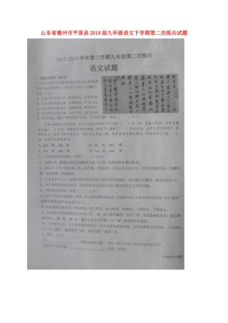 山东省德州市平原县九年级语文下学期第二次练兵试卷试卷