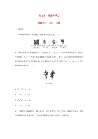 中考物理一轮复习 基础考点一遍过 第十章 压强和浮力 命题点1 压力 压强试卷