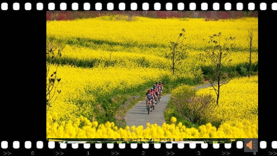 10最美是家乡_第3页