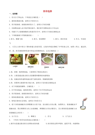 中考物理专题复习 热学选择专题试卷