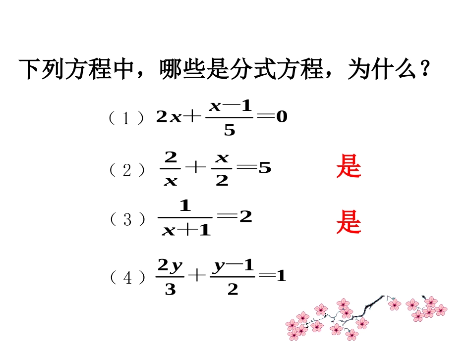 分式方程(1)潘燕_第3页