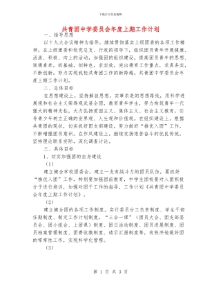 共青团中学委员会年度上期工作计划