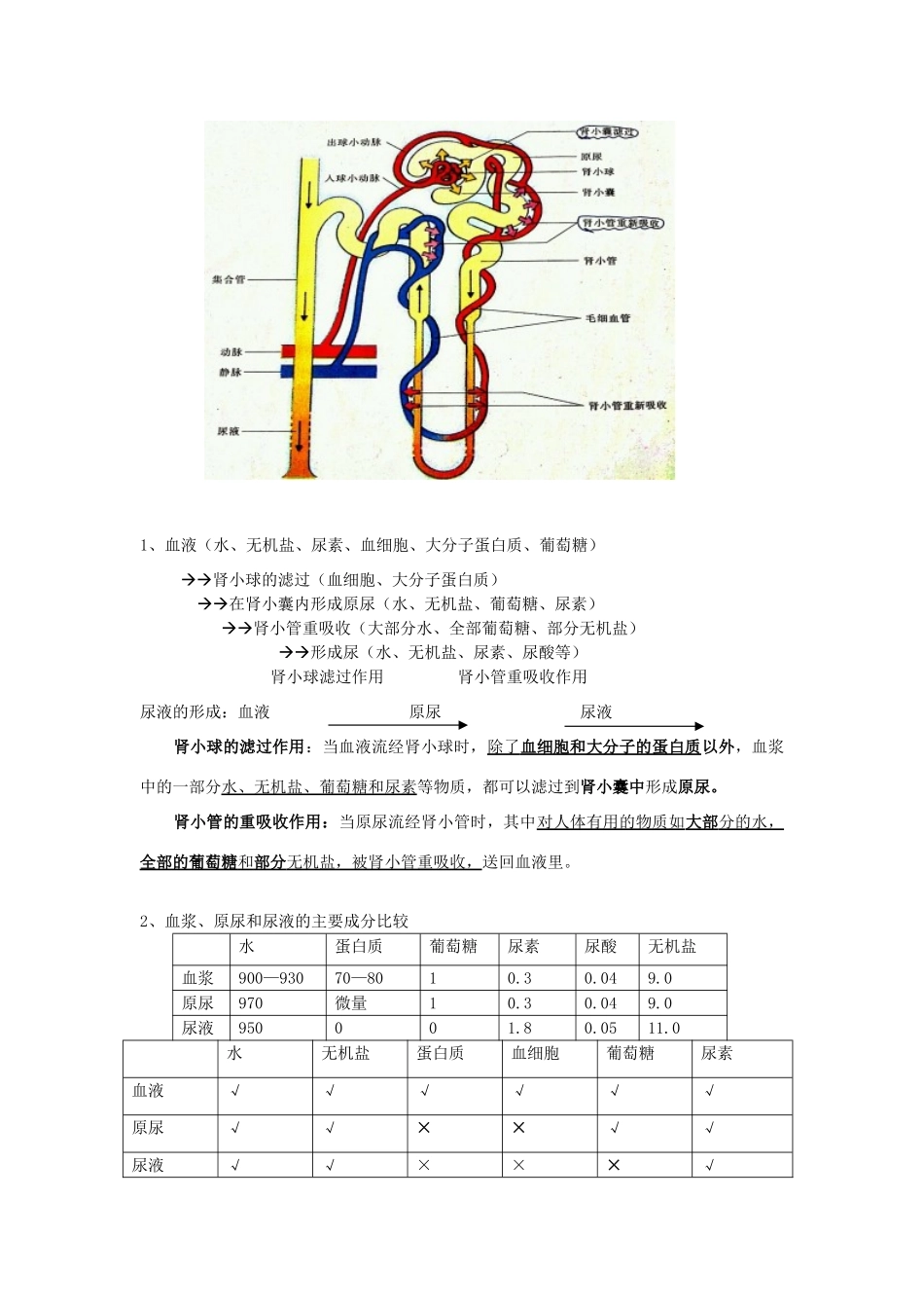 中考生物二轮复习 知识点梳理 七下 第四单元 生物圈中的人 新人教版试卷_第2页