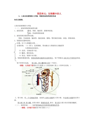 中考生物二轮复习 知识点梳理 七下 第四单元 生物圈中的人 新人教版试卷