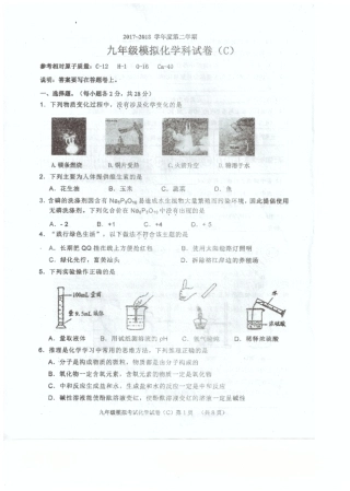 九年级化学5月模拟试卷(pdf)试卷