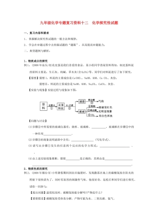 九年级化学专题复习资料十二  化学探究性试卷