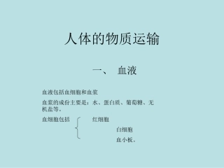 人体的物质运输