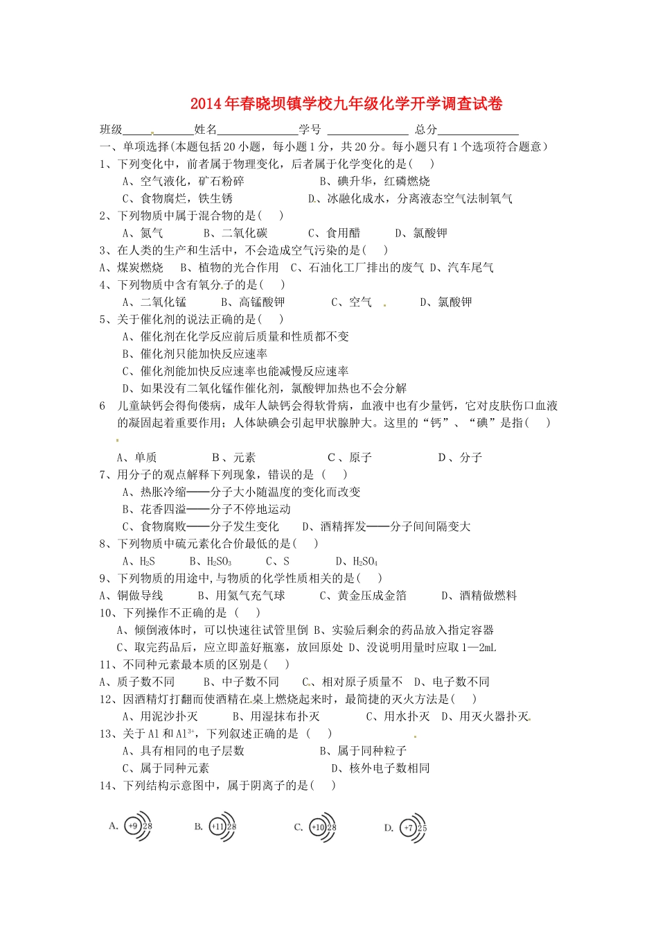 九年级化学下学期开学调查试卷 新人教版试卷_第1页