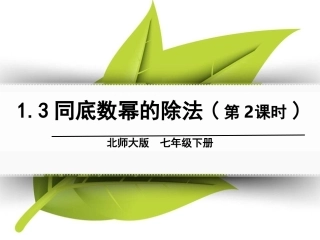 1.3同底数幂的除法(2)-(2)