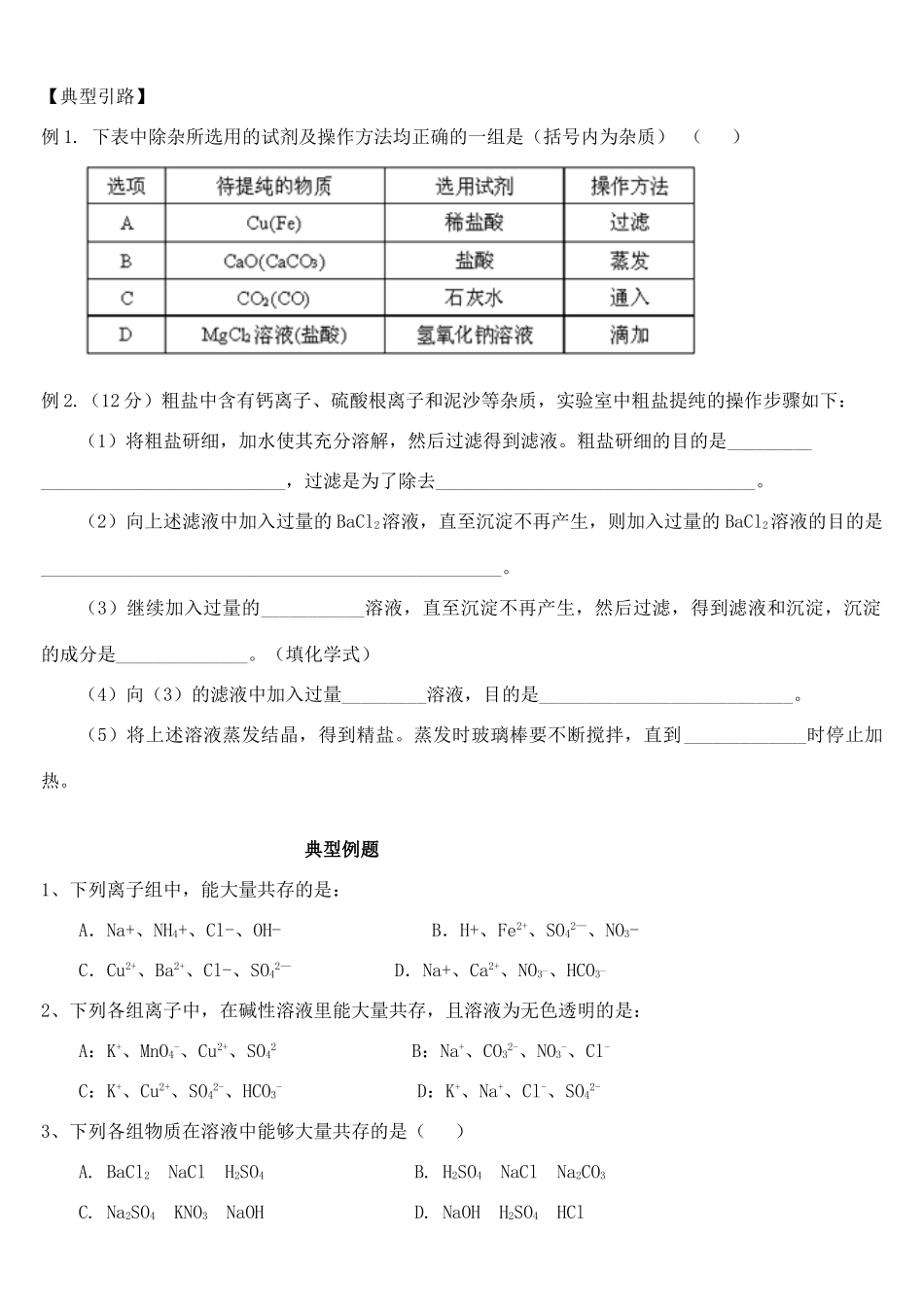 初中中考化学专题复习 离子共存及除杂测试(无答案) 试题_第2页