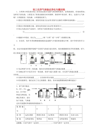 初三化学气体验证净化专题训练 新人教版 试题