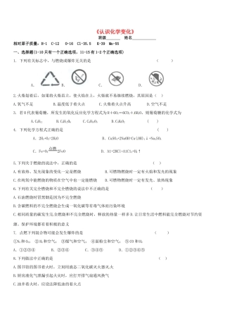 九年级化学全册 4 认识化学变化复习题(新版)沪教版试卷