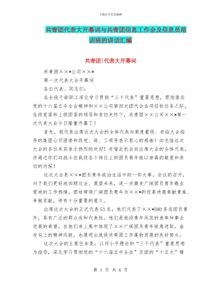 共青团代表大开幕词与共青团信息工作会及信息员培训班的讲话汇编