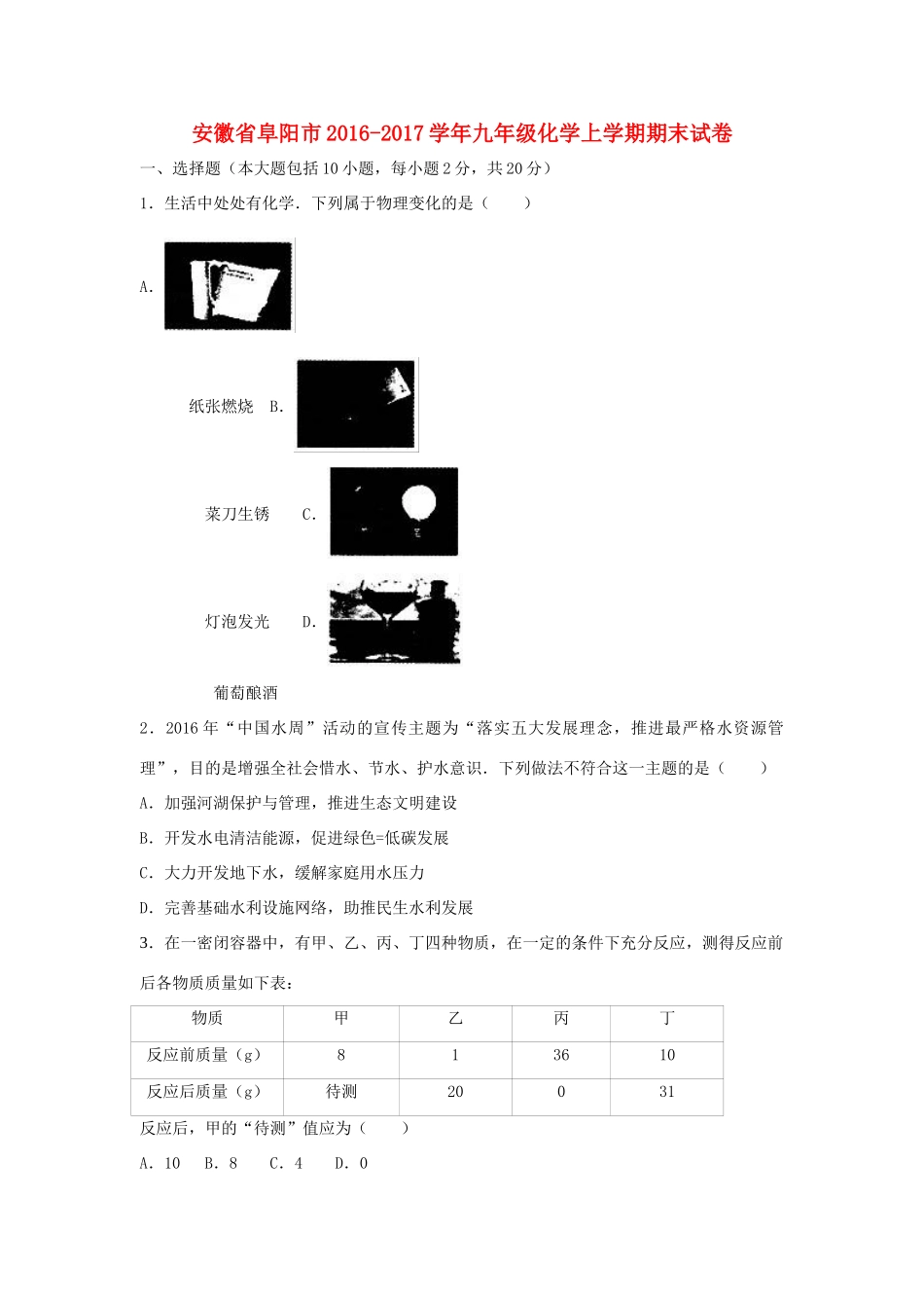 安徽省阜阳市九年级化学上学期期末试卷试卷_第1页