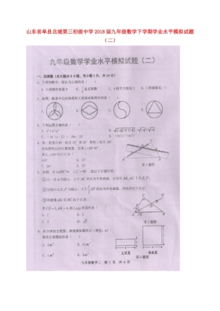 九年级数学下学期学业水平模拟试卷(二)(扫描版，无答案)试卷