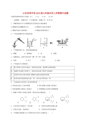 山东省邹平县九年级化学上学期期中试卷 沪教版试卷