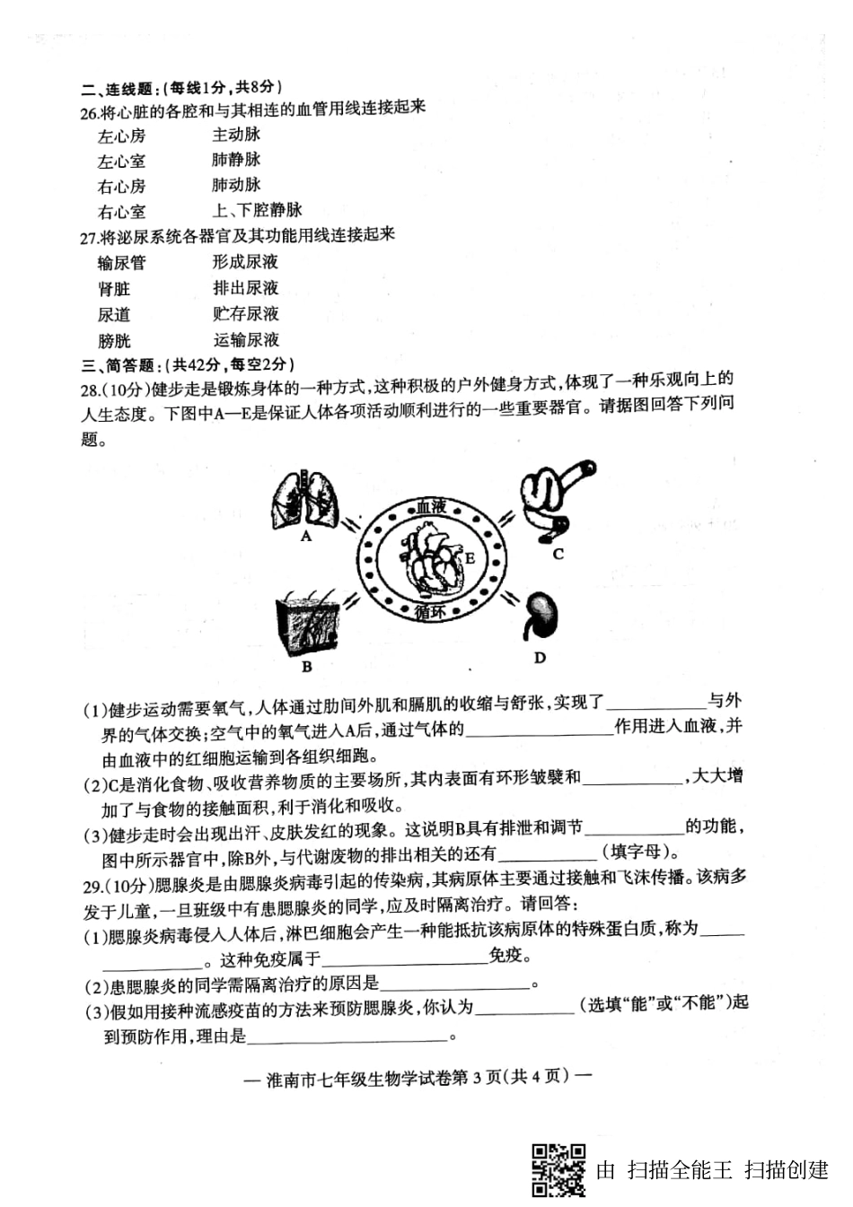 安徽省淮南市七年级生物下学期期末试卷(pdf) 新人教版 安徽省淮南市七年级生物下学期期末试卷(pdf) 新人教版_第3页