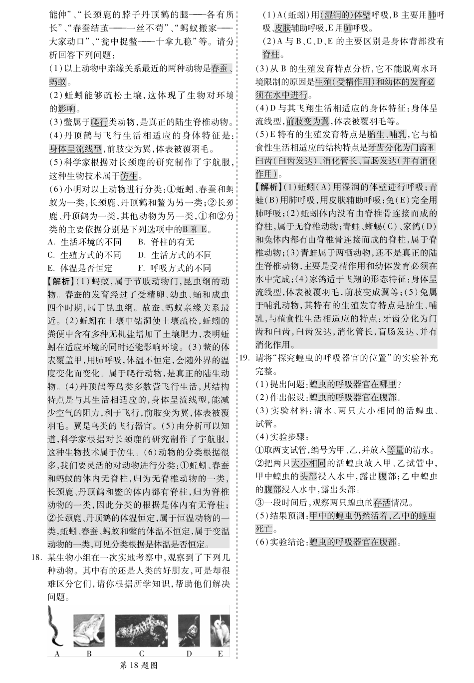 中考生物 第一部分 教材知识梳理 第五单元 第一章 动物的主要类群复习备考试卷精编(pdf，含解析) 新人教版试卷_第3页