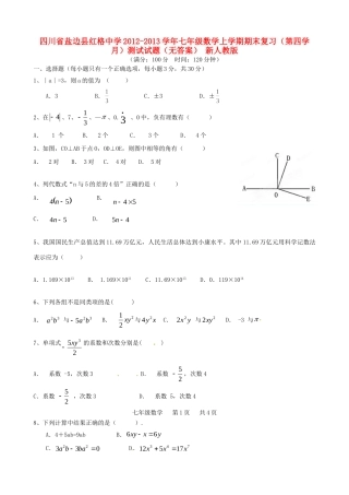 四川省盐边县七年级数学上学期期末复习(第四学月)测试试卷 新人教版试卷
