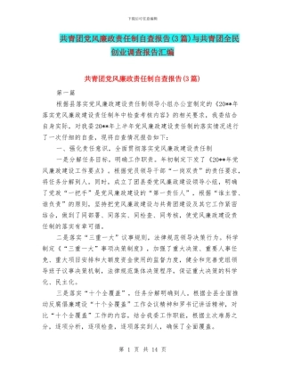 共青团党风廉政责任制自查报告与共青团全民创业调查报告汇编