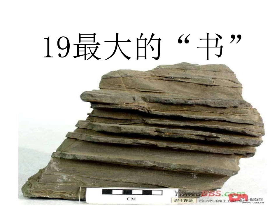 19最大的书_第2页