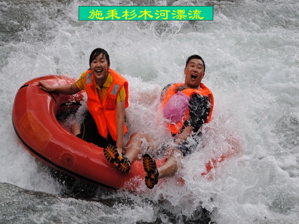 弱电解质的电离(西安)pgr1_第2页