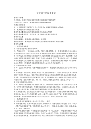 放大镜下的昆虫世界