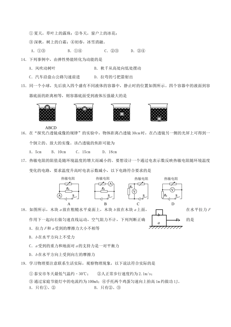 山东省泰安市中考物理真题试卷(含答案)试卷_第3页