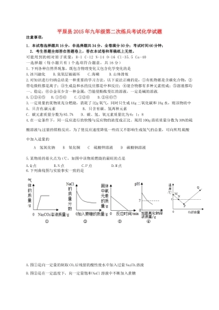 九年级化学下学期第二次练兵考试试卷试卷