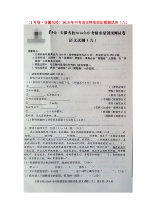 中考语文精准原创预测试卷(九)新人教版试卷