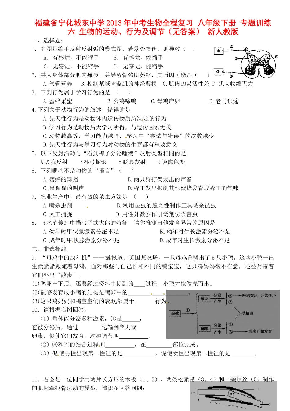 九年级下册 专题训练六 生物的运动、行为及调节 新人教版试卷_第1页