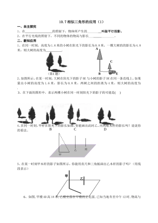 10.7相似三角形的应用(1)