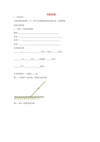 中考物理冲刺复习 光现象 专题2 光的反射训练试卷