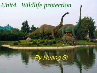 B2U4Usinglanguage-副本