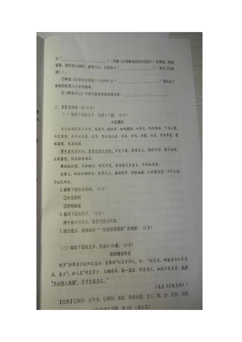 山东省临清市 八年级语文下学期期末考试试卷新人教版_第2页