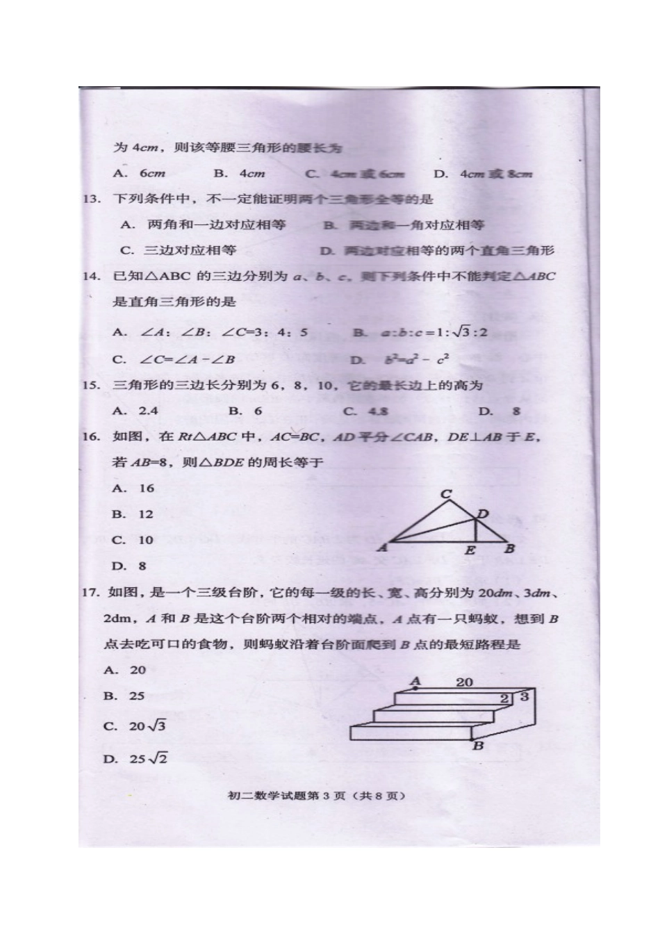 四川省遂宁市 八年级数学上学期期末教学水平监测试卷 华东师大版试卷_第3页