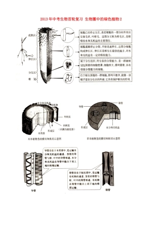 中考生物首轮复习 生物圈中的绿色植物2试卷