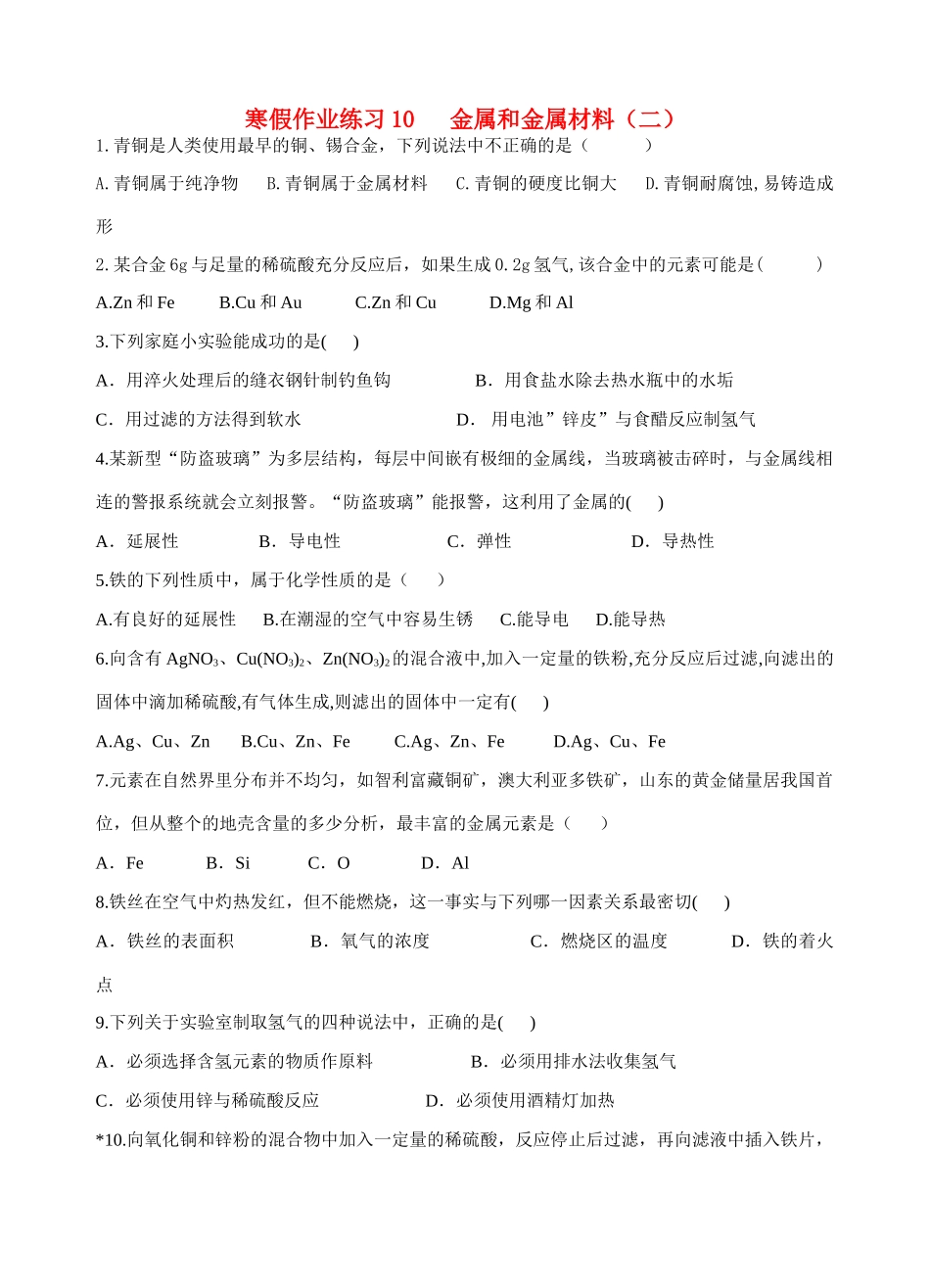 九年级寒假作业化学试卷(10) 新人教版试卷_第1页