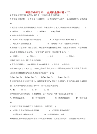 九年级寒假作业化学试卷(10) 新人教版试卷