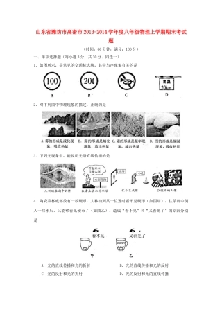 山东省潍坊市高密市八年级物理上学期期末考试卷