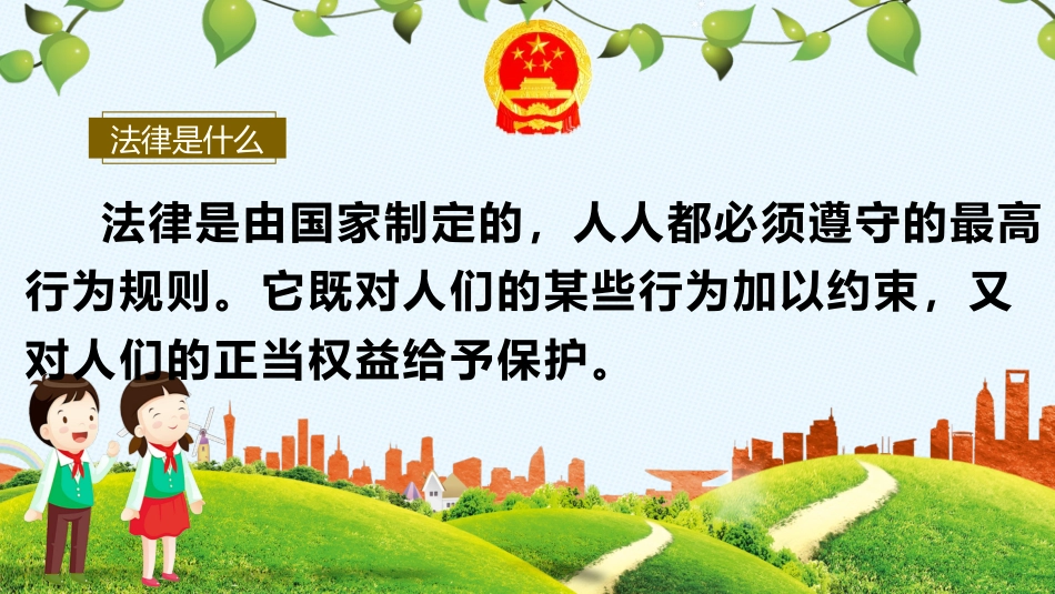 4.与法同行_第2页