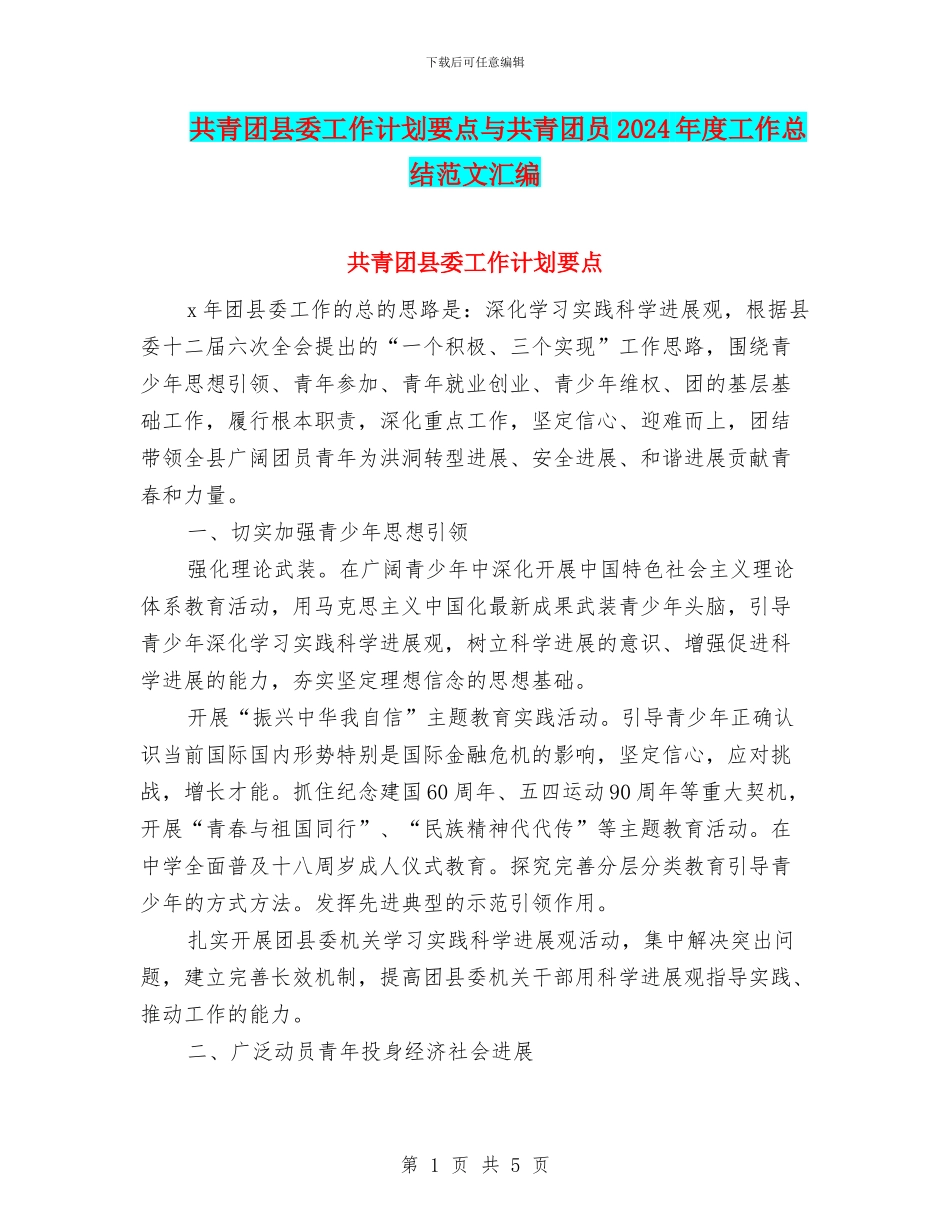 共青团县委工作计划要点与共青团员2024年度工作总结范文汇编_第1页