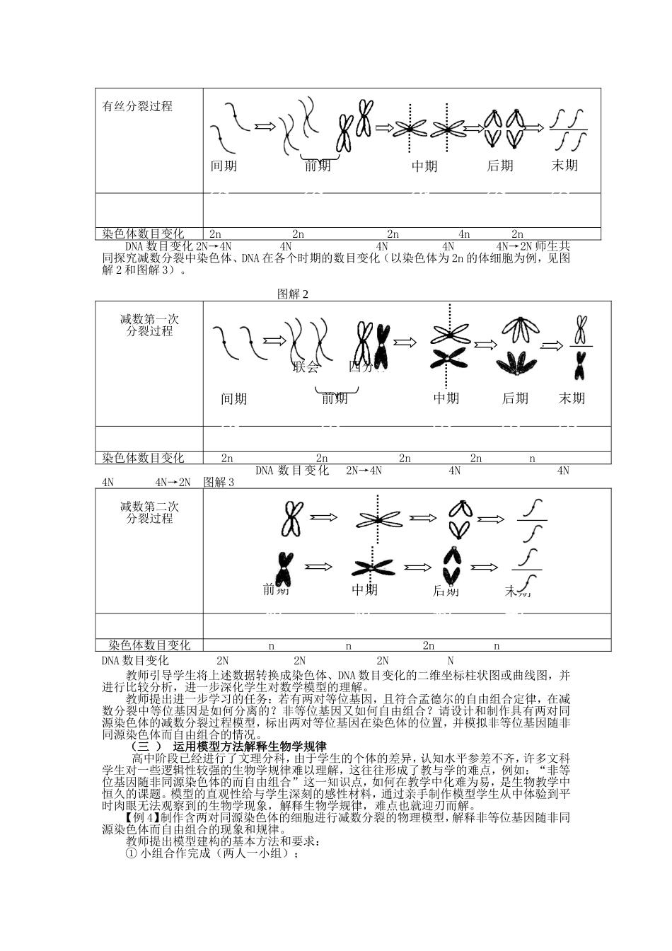 合理运用模型方法进行中学生物教学_第2页